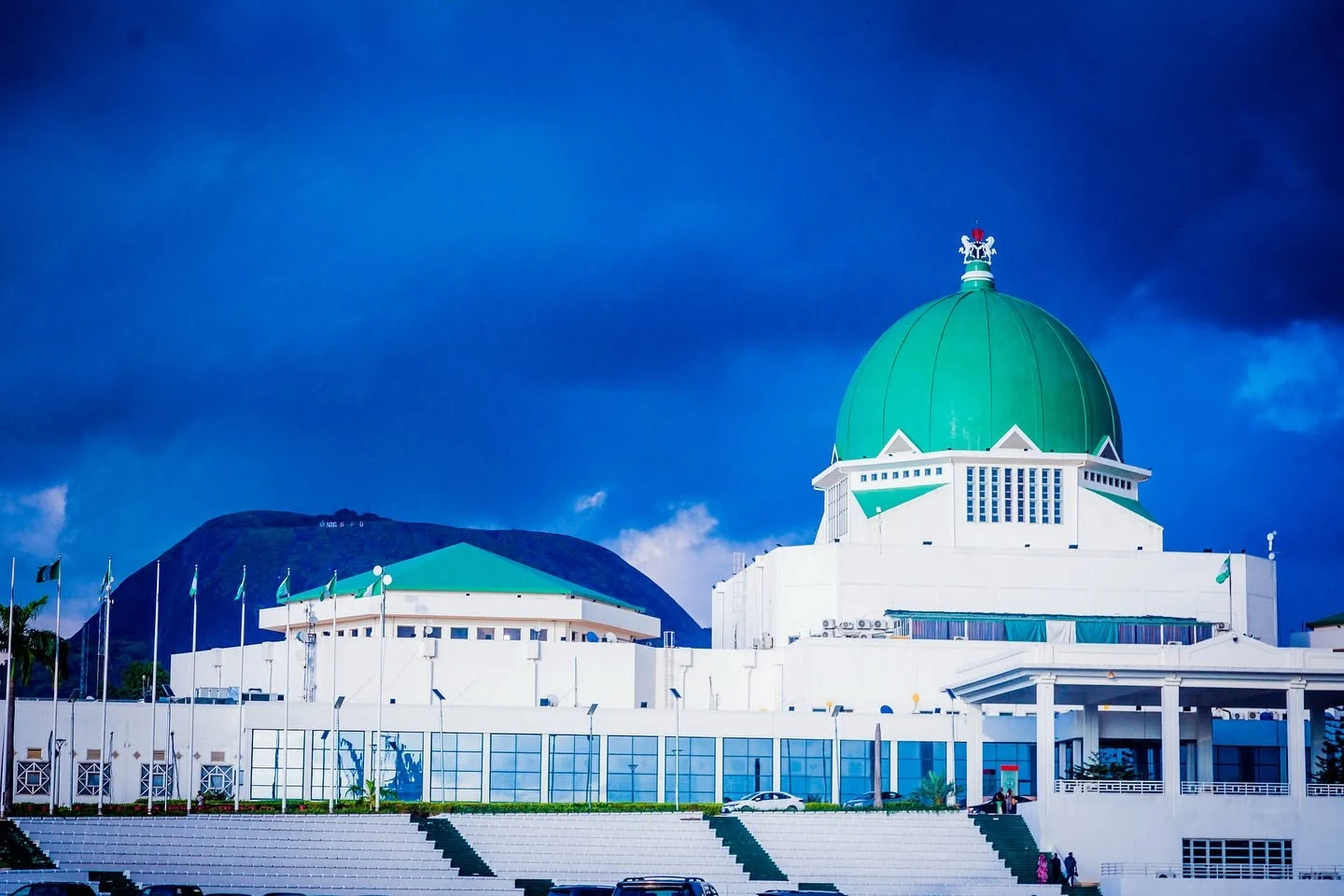 Government digital transformation and capacity building